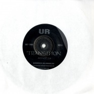 Front View : Perception and Mad Mike - WINDCHIME(7 INCH) - Underground Resistance / UR7-3000