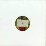 Front View : Joris Voorn - RINGO - Green Records / GR15