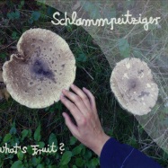 Front View : Schlammpeitziger - WHATS FRUIT (CD) - Pingipung 42 CD