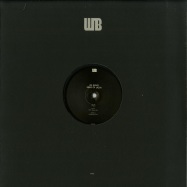 Front View : Allblack - BIRDS OF LACIN (ATOLL REMIX) (180G, VINYL ONLY) - What Now Becomes LTD / WNBLTD003