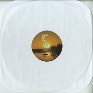 Front View : Joey Anderson - STARING TO THE POND (US PRESSING) - Inimeg Recordings / INMR-006