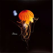 Front View : Greg Nairo - OMALA EP - All Day I Dream / ADIDIW005