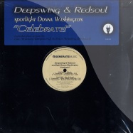 Front View : Deepswing & Redsoul - CELEBRATE! - Generate Music / gm018