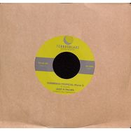 Front View : Jazz N Palms - TORMENTA TROPICAL (7 INCH) - Terrasolare / TS4505