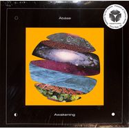 Front View : Abase - AWAKENING (2LP, B STOCK) - Analogue Foundation & Oshu Records / AF004