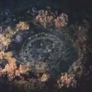 Front View : Joline Scheffler - VESICA PISCIS - Exekute / EXE-2