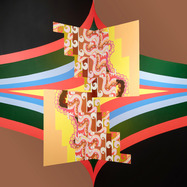 Front View : Joshua Abrams - MUSIC FOR PULSE MERIDIAN FOLIATION (LP) - Drag City / 05286481