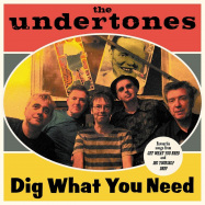 Front View : The Undertones - DIG WHAT YOU NEED (BEST OF 2003-2007) (LP) - Dimple Discs / 05222341