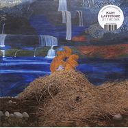 Front View : Mary Lattimore - AT THE DAM (LTD.WATERFALL VINYL) (LP) - Ghostly Int / 00152609