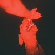 Front View : Eli Winter - A TRICK OF THE LIGHT (LP) - THREE LOBED / LPTLR162