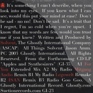 Front View : Solvent - RADIO GA GA Pt.2 - Ghostly International / GI023