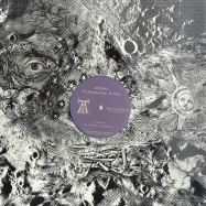 Front View : The Barking Dogs - ITS WHAT / P.Lauer Remix - Mad on the Moon / MOM003