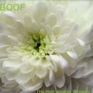 Front View : Boof - THE HYDRANGEAS WHISPER (2X12 LP) - Running Back / RBLP07