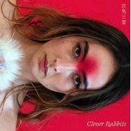 Front View : Ann Liu Cannon - CLEVER RABBITS (LP) - JJ / JJLPV1