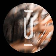 Front View : Sedvs - TEOREMA - Unterwegs Records / WEGS008