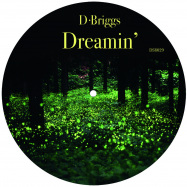 Front View : D-Briggs - DREAMIN - Dailysession Records / DSR029