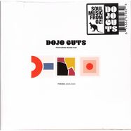 Front View : Dojo Cuts - PIECES (BEST OF DOJO CUTS) (LP) - Colemine Records / 00157185
