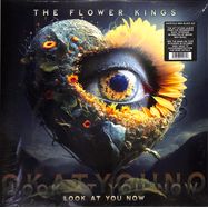 Front View : The Flower Kings - LOOK AT YOU NOW (2LP) - Insideoutmusic / 19658822971