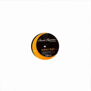 Front View : Theo Parrish - DELLWOOD / SOLITARY FLIGHT - Sound Signature  / SS016