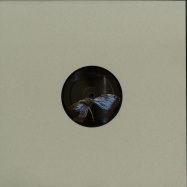Front View : Ben Buitendijk - PAST AND PRESENT EP - Oblique Music / OBQ002RP