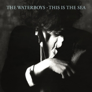 Front View : Waterboys - THIS IS THE SEA (LP) - CHRYSALIS / ENCL5