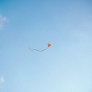 Front View : Chris Stussy - LOST, FOUND & FORGOTTEN (3LP) - Up The Stuss / UTSA01