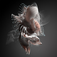 Front View : Echonomist - DOMINATOR EP - Habitat Recordings / HBT020V