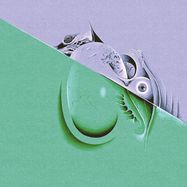 Front View : Razen - STAINED GLASS STARLING (LP) - VIERNULVIER RECORDS / VIERNULVIER015