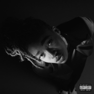 Front View : Little Simz - GREY AREA (LP) - AGE 101 / AGE101001LP