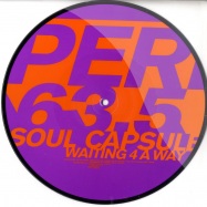 Front View : Soul Capsule - WAITING 4 A WAY EDITS (10INCH PIC DISC) - Perlon / Perlon63-5
