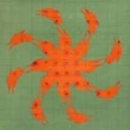 Front View : Andy Martin - TIERRA DE NAHUALES - Animalia / ANIMA19