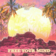 Front View : Big Gigantic - FREE YOUR MIND (CD) - Counter Records / COUNTCD188