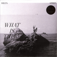 Front View : Delta Spirit - WHAT IS THERE (LTD COLOURED 180G LP) - New West Records / 39199371
