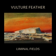 Front View : Vulture Feather - LIMINAL FIELDS (BONE COLOURED LP) - Felte / 00158126