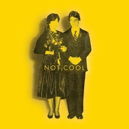 Front View : Tim Easton - NOT COOL (LP) - Black Mesa Records / BMR6001