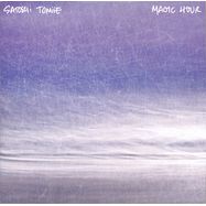 Front View : Satoshi Tomiie - Magic Hour (2LP) - Abstract Architecture / AALP003