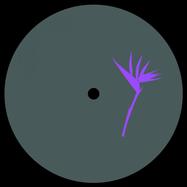 Front View : Zenk & Ted Amber - MEMESIS EP (VINYL ONLY) - Purple Print / PRP017