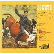 Front View : Parquet Courts - LIGHT UP GOLD (LP) - Rough Trade / 05279201