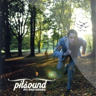 Front View : Pit Przygodda - PITSOUND (LP) - Saasfee / Fee0223