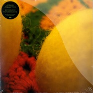 Front View : Animal Collective - BROTHER SPORT (10INCH) - Domino / rug333t