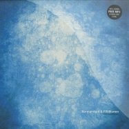 Front View : Springintgut & F.S. Blumm - THE BIRD AND WHITE NOISE (LP) - Pingipung 43 LP