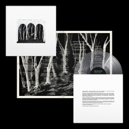 Front View : These New Puritans - CROOKED WING (LTD CLEAR LP) - Domino Records / WIGLP553X