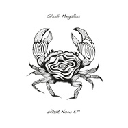 Front View : Shadi Megallaa - WHAT NOW - Seaweed Rhythm / SEAWEED006