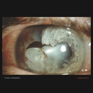 Front View : Flying Horseman - ANAESTHESIA (LP, SILVER COLOURED VINYL) - UNDAY RECORDS / UNDAY170LP