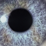 Front View : Dan Swan� - MOONTOWER (RE-ISSUE, TRANSP. LIGHT BLUE LP) - Century Media Catalog / 19802986571