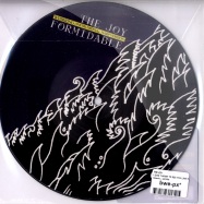 Front View : The Joy Formidable - I DON T WANT TO SEE YOU LIKE THIS (7INCH) - Atlantic / at0355
