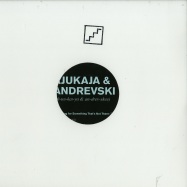 Front View : Ajukaja & Andrevski - LOOKING FOR SOMETHING THATS NOT THERE / MESILIND (VINYL ONLY) - Levels / LEVELS-004