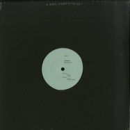 Front View : Glueped (Teluric and Melodie) - DESTINY (VINYL ONLY / 180G) - Vade Mecum / VM002