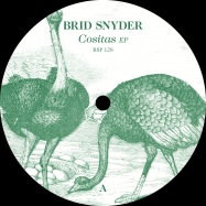 Front View : Brid & Snyder - SECRET PLACES EP - Resopal / RSP128