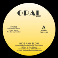 Front View : Opal - NICE AND SLOW - Remote Destinations / RD001
